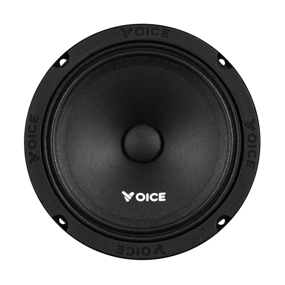 Естрадна акустика Voice PX-165
