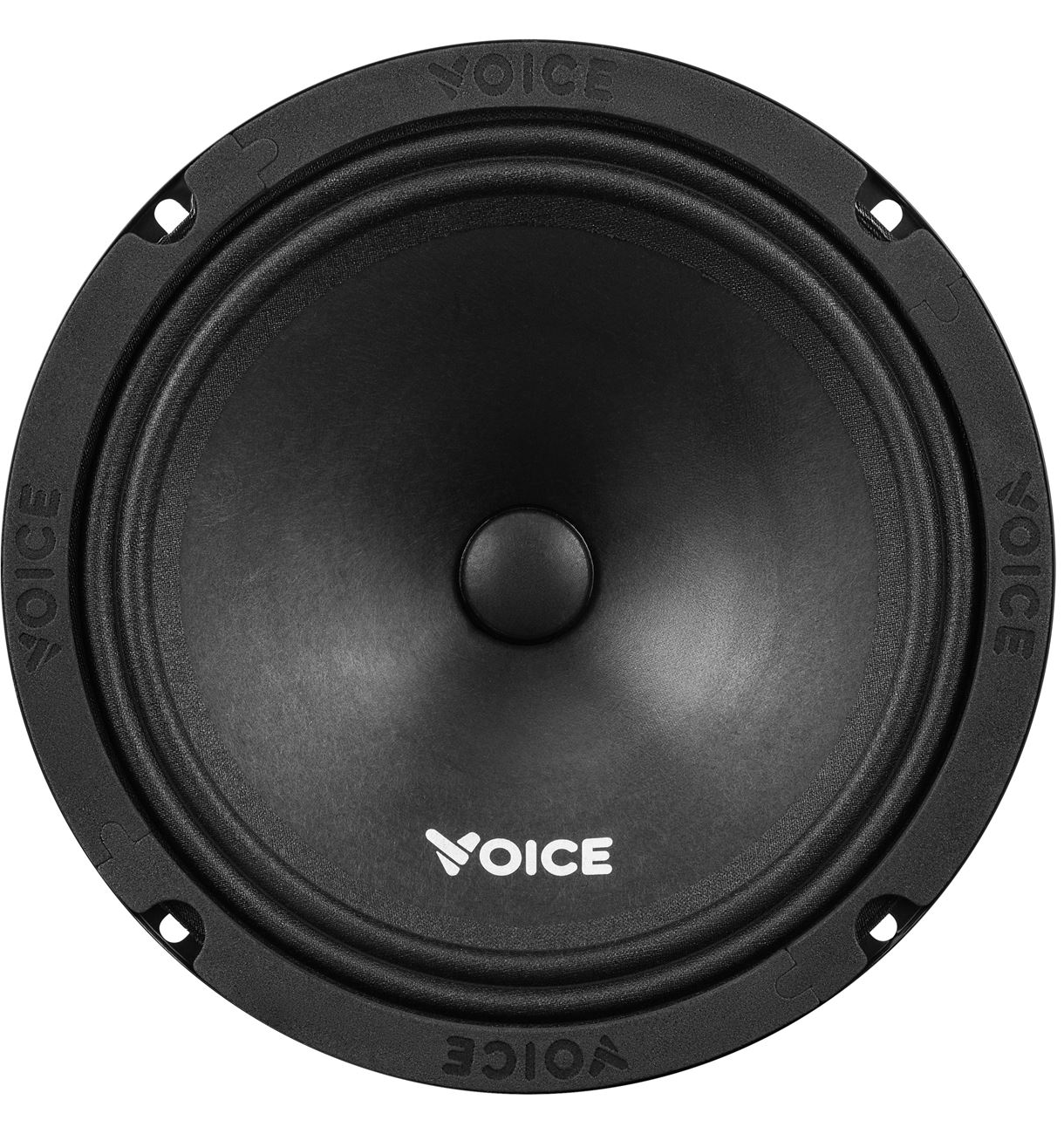 Естрадна автоакустика Voice ST-200