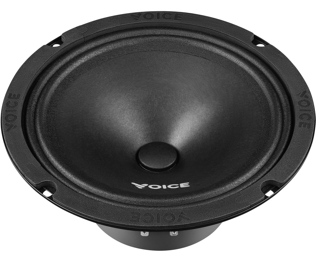 Естрадна автоакустика Voice ST-200