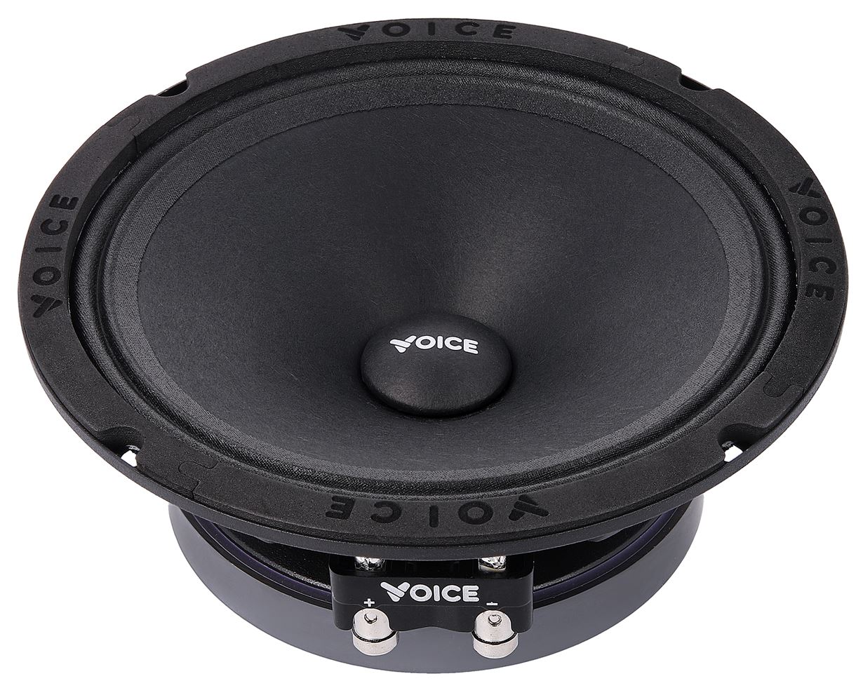 Естрадна акустика Voice SP-60A