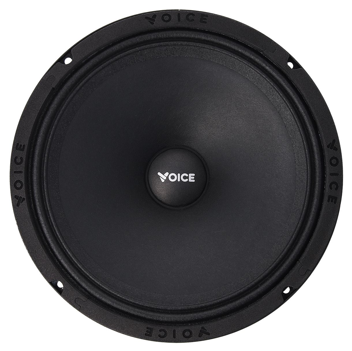 Естрадна акустика Voice SP-80A