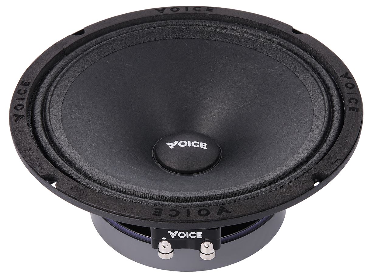 Естрадна акустика Voice SP-80A