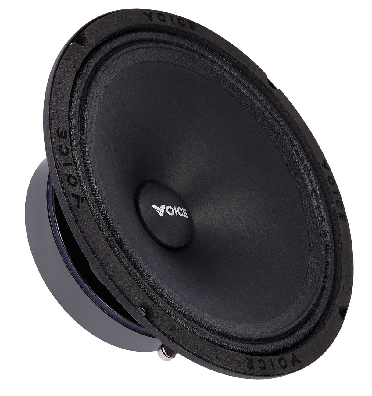 Естрадна акустика Voice SP-80A