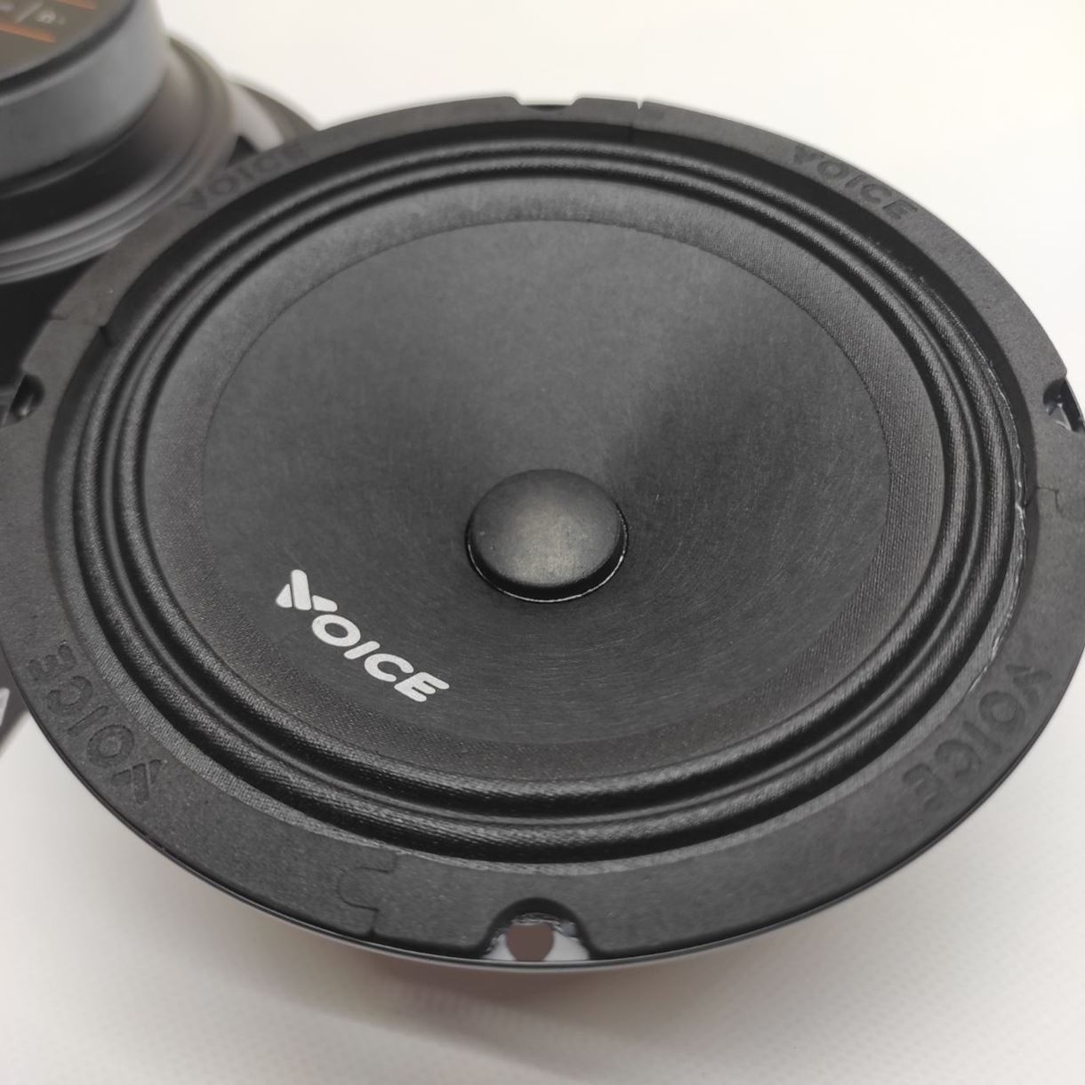 Естрадна акустика Voice ST-165