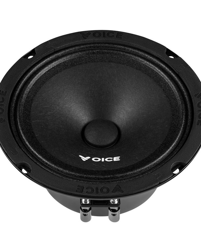 Естрадна акустика Voice PX-165