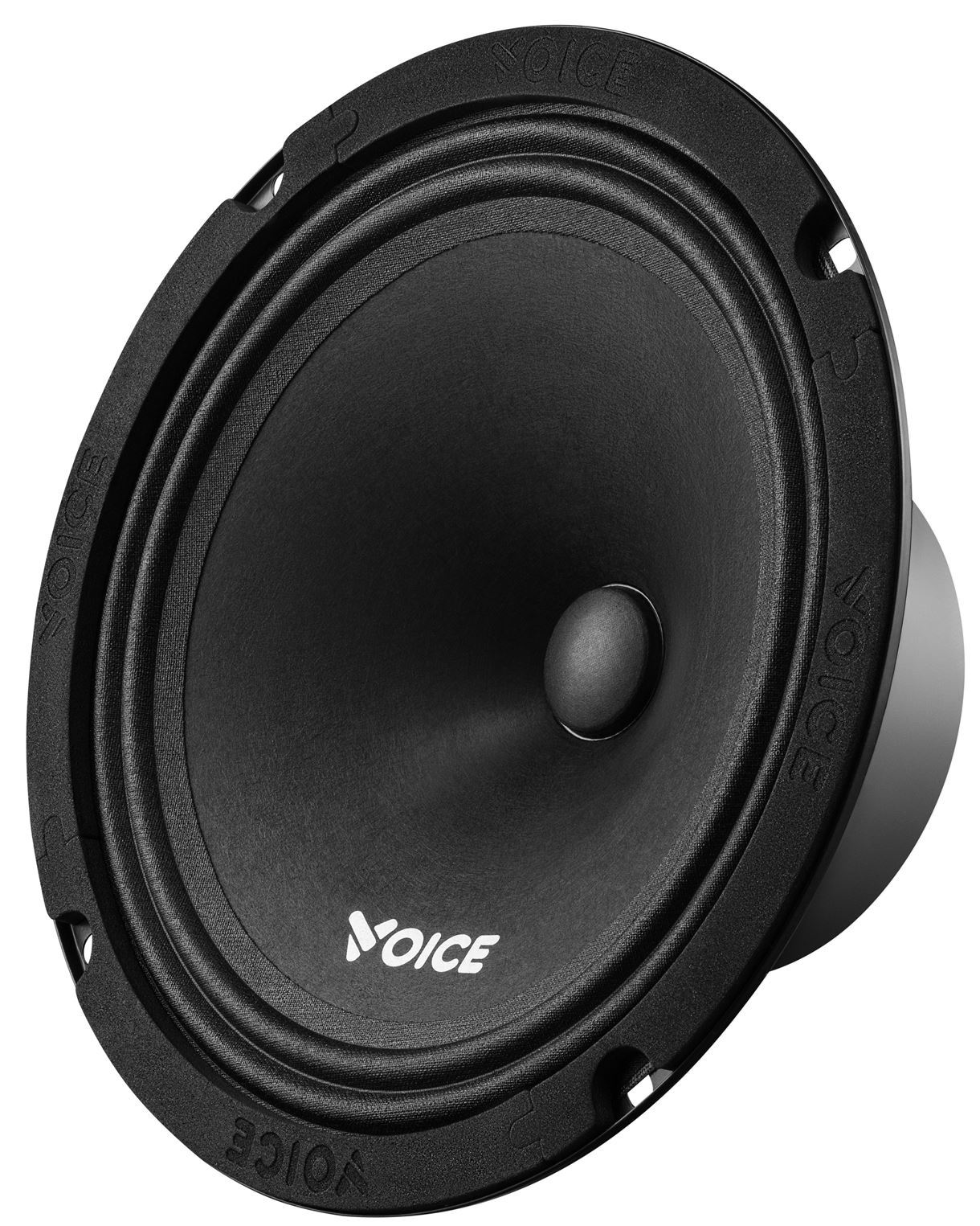 Естрадна автоакустика Voice ST-200