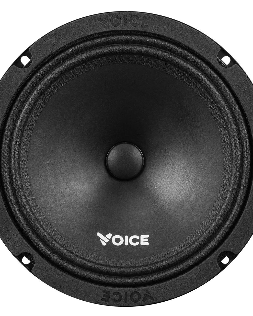 Естрадна автоакустика Voice ST-200