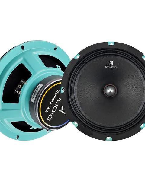 Естрадна акустика UAudio Trembita TM8