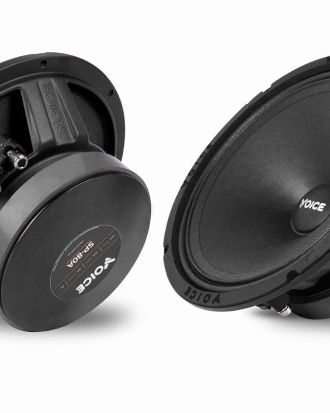 Естрадна акустика Voice SP-80A