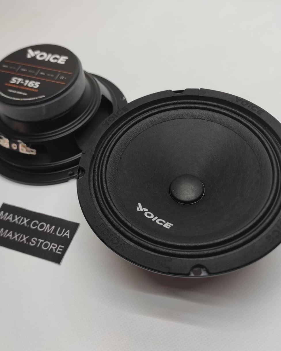 Естрадна акустика Voice ST-165