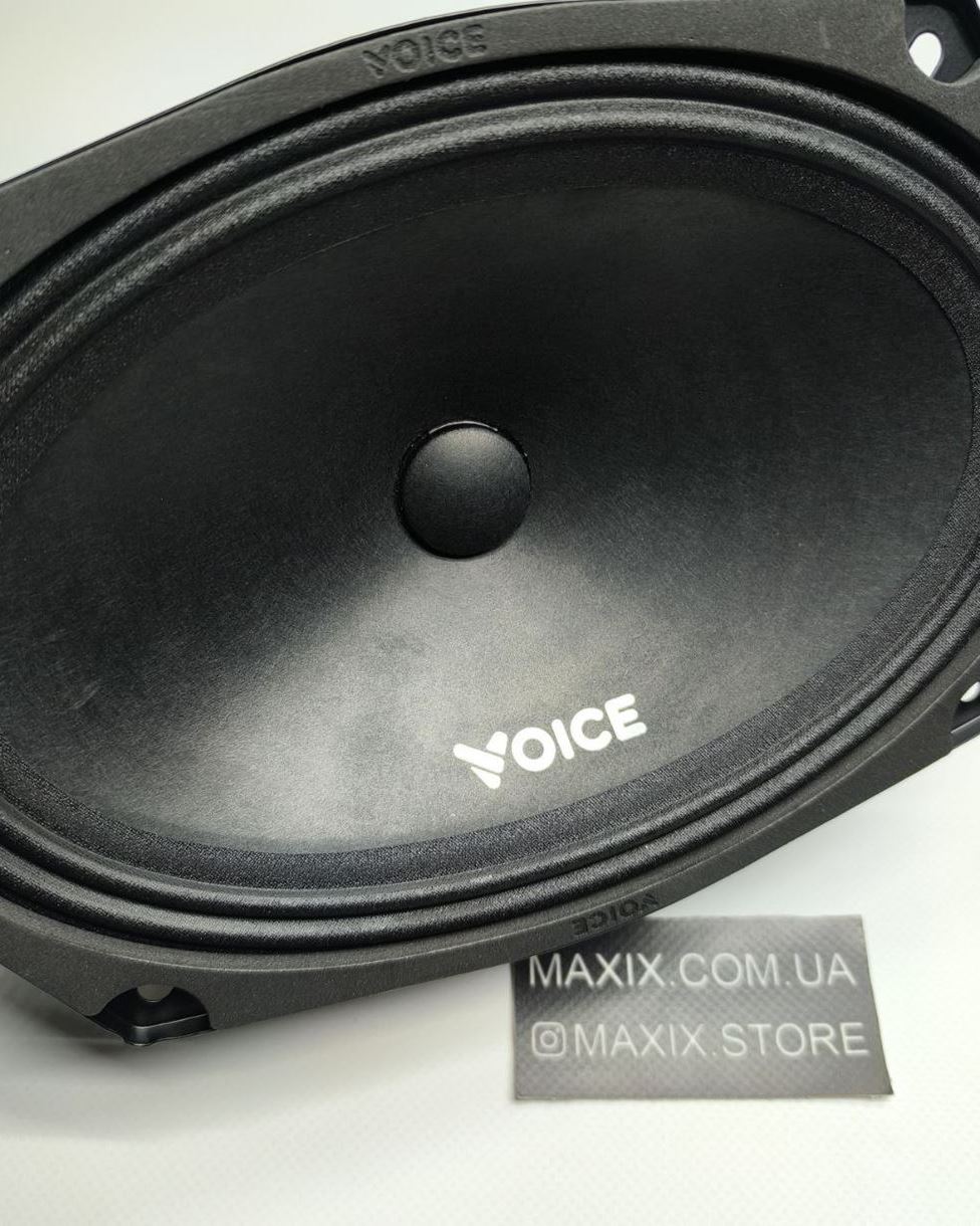 Естрадна акустика Voice ST-69